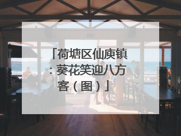 荷塘区仙庾镇：葵花笑迎八方客（图）