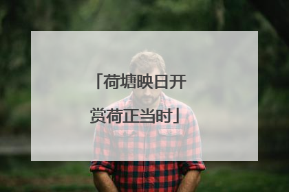 荷塘映日开 赏荷正当时