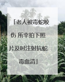 老人被毒蛇咬伤 所幸拍下照片及时注射抗蛇毒血清