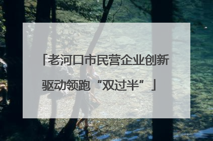老河口市民营企业创新驱动领跑“双过半”