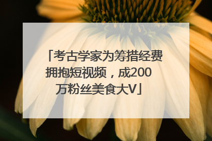 考古学家为筹措经费拥抱短视频，成200万粉丝美食大V
