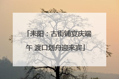 耒阳：古街铺宴庆端午 渡口划舟迎来宾