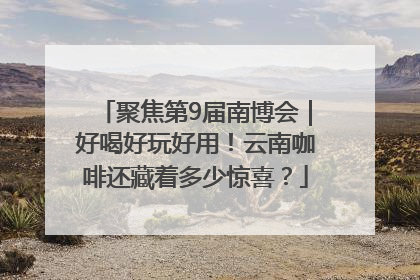 聚焦第9届南博会｜好喝好玩好用！云南咖啡还藏着多少惊喜？