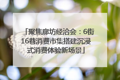 聚焦廊坊经洽会：6街16巷消费市集搭建沉浸式消费体验新场景