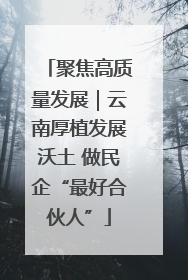聚焦高质量发展｜云南厚植发展沃土 做民企“最好合伙人”