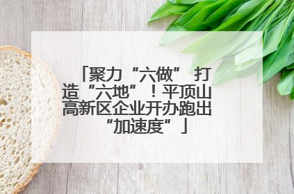 聚力“六做” 打造“六地”！平顶山高新区企业开办跑出“加速度”