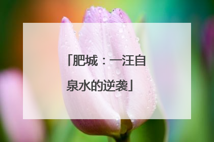 肥城：一汪自泉水的逆袭