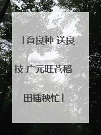 育良种 送良技 广元旺苍稻田插秧忙