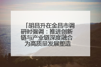 胡昌升在金昌市调研时强调：推进创新链与产业链深度融合 为高质量发展塑造新动能新优势