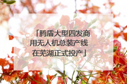 腾盾大型四发商用无人机总装产线在芜湖正式投产