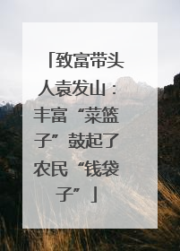 致富带头人袁发山：丰富“菜篮子”鼓起了农民“钱袋子”
