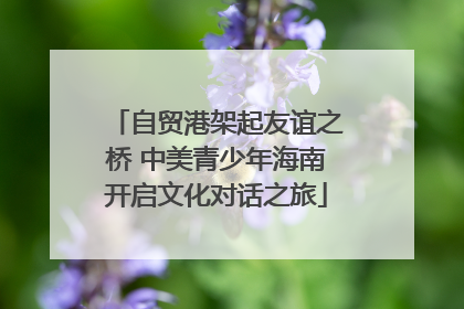 自贸港架起友谊之桥 中美青少年海南开启文化对话之旅