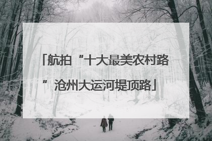 航拍“十大最美农村路”沧州大运河堤顶路