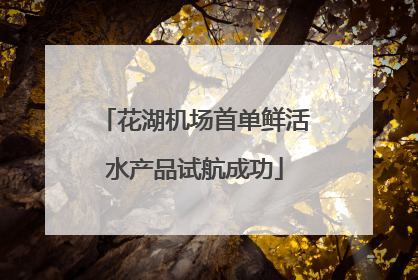 花湖机场首单鲜活水产品试航成功