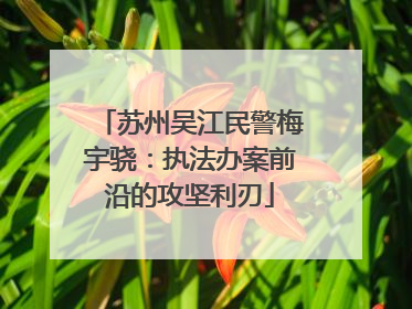 苏州吴江民警梅宇骁：执法办案前沿的攻坚利刃