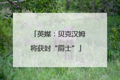 英媒：贝克汉姆将获封“爵士”