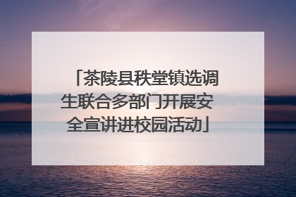 茶陵县秩堂镇选调生联合多部门开展安全宣讲进校园活动