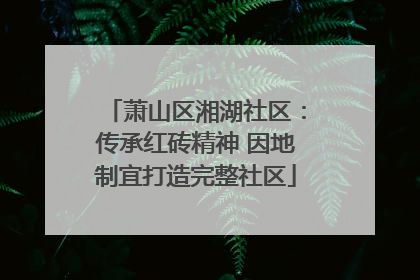 萧山区湘湖社区：传承红砖精神 因地制宜打造完整社区