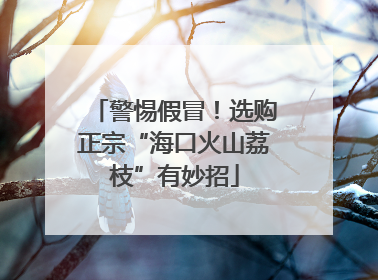 警惕假冒！选购正宗“海口火山荔枝”有妙招