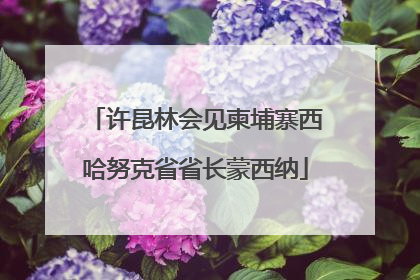 许昆林会见柬埔寨西哈努克省省长蒙西纳