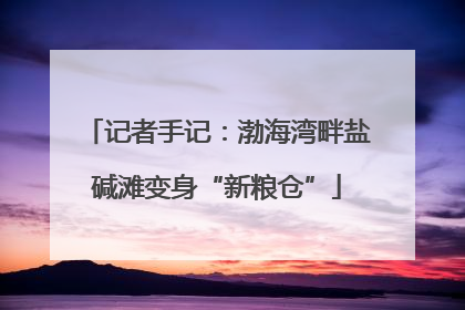 记者手记：渤海湾畔盐碱滩变身“新粮仓”