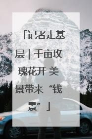 记者走基层｜千亩玫瑰花开 美景带来“钱景”