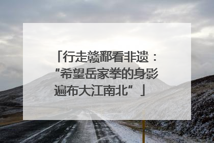 行走赣鄱看非遗：“希望岳家拳的身影遍布大江南北”