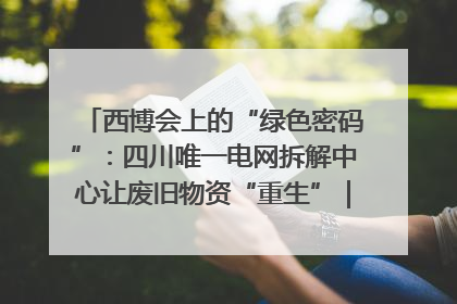 西博会上的“绿色密码”：四川唯一电网拆解中心让废旧物资“重生”｜西博寻“新”记