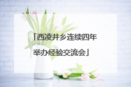 西凌井乡连续四年举办经验交流会