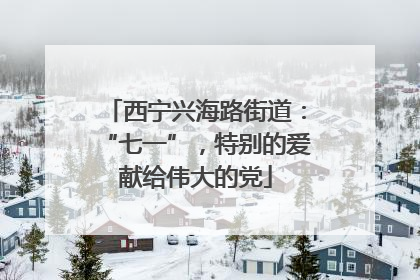 西宁兴海路街道：“七一”，特别的爱献给伟大的党