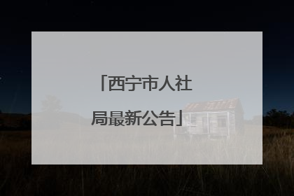 西宁市人社局最新公告