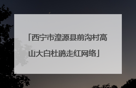 西宁市湟源县前沟村高山大白杜鹃走红网络