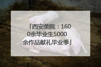 西安美院：1600余毕业生5000余作品献礼毕业季