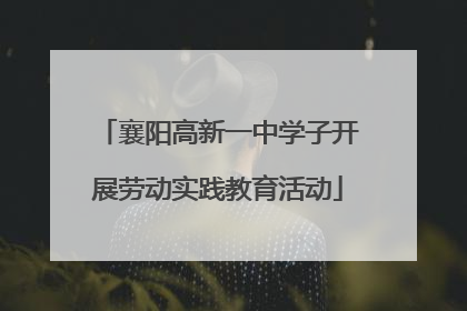 襄阳高新一中学子开展劳动实践教育活动