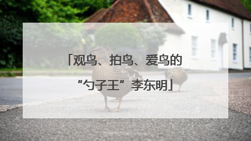 观鸟、拍鸟、爱鸟的“勺子王”李东明
