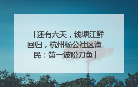 还有六天，钱塘江鲜回归，杭州杨公社区渔民：第一波盼刀鱼