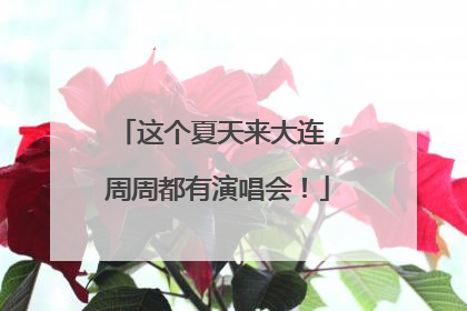 这个夏天来大连，周周都有演唱会！