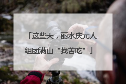 这些天，丽水庆元人组团满山“找苦吃”