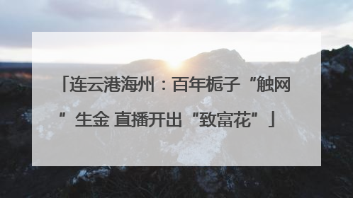 连云港海州：百年栀子“触网”生金 直播开出“致富花”