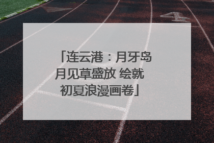 连云港：月牙岛月见草盛放 绘就初夏浪漫画卷
