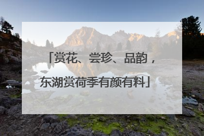 赏花、尝珍、品韵，东湖赏荷季有颜有料