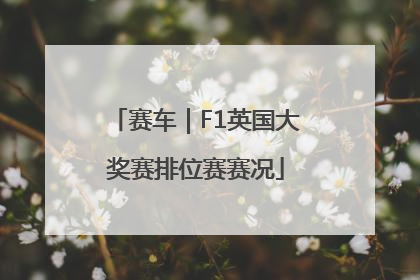 赛车｜F1英国大奖赛排位赛赛况