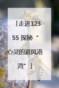 走进12355 探秘“心灵的避风港湾”