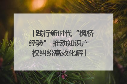 践行新时代“枫桥经验” 推动知识产权纠纷高效化解