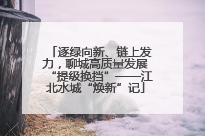 逐绿向新、链上发力，聊城高质量发展“提级换挡”——江北水城“焕新”记
