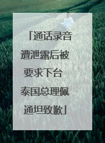 通话录音遭泄露后被要求下台 泰国总理佩通坦致歉