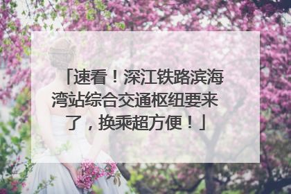速看！深江铁路滨海湾站综合交通枢纽要来了，换乘超方便！