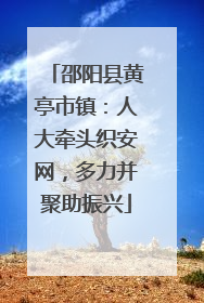 邵阳县黄亭市镇：人大牵头织安网，多力并聚助振兴