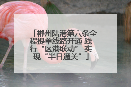 郴州陆港第六条全程提单线路开通 践行“区港联动” 实现“半日通关”