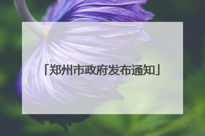 郑州市政府发布通知
